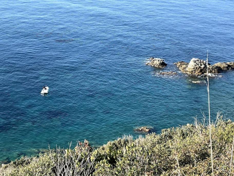 Apartamento La Casina A Piombino Exterior foto